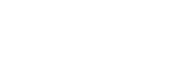 Vans Vans